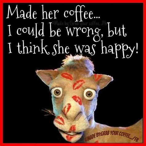 Funny Hump Day Coffee Quote Pictures Photos And Images For Facebook Tumblr Pinterest And