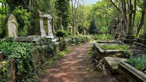مقبرة هاي جيت في لندن قصة تحول موقع دفن إلى منطقة سياحية فريدة الرحالة