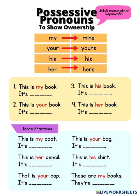 Possessive Pronouns Online Exercise For Year In Possessive Pronoun Possessives Object