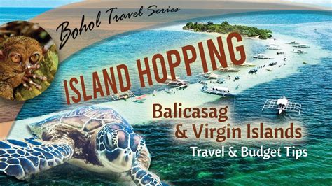 Bohol Island Hopping Balicasag Island Virgin Island Travel And Budget Tips Dolphin