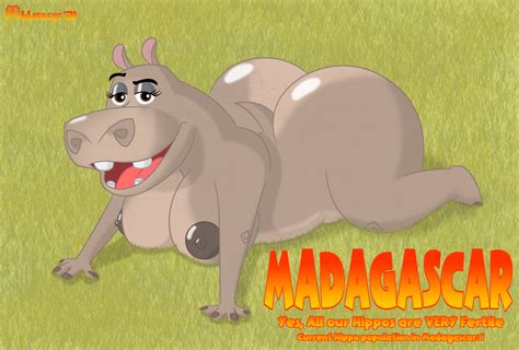Post 4365157 Gloria Hippo Madagascar Wasileus