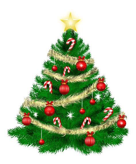 Download transparent christmas tree png for free on pngkey.com. 1509724505Cartoon-Christmas-Tree-PNG-Transparent-Image ...