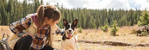 tips  fear  veterinary visits zukes natural dog treats