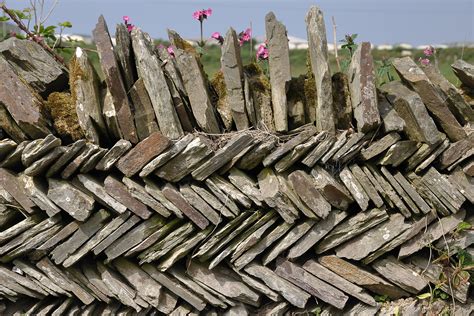 A Traditional Cornish Hedge And Herringbone Stone Wall Cornwall Dry