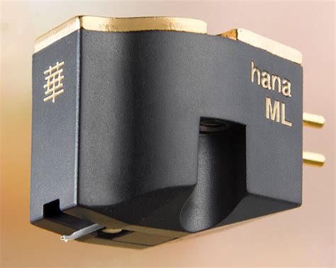 Hana Ml — Hana