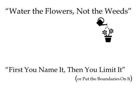 Water The Flowers Not The Weeds If We Learn Differently