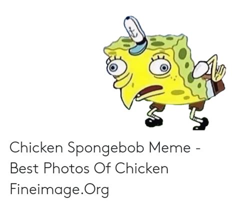 Chicken Spongebob Meme Best Photos Of Chicken Fineimageorg Meme On