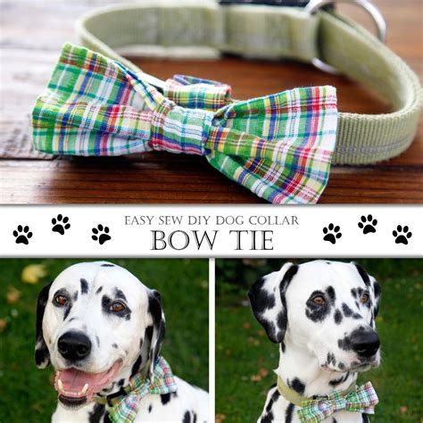 Dalmatian Diy Diy Easy Sew Over The Collar Bow Tie For Dogs