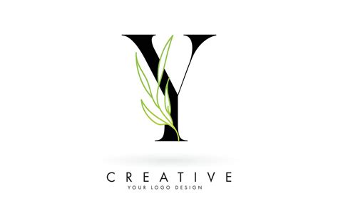 Elegant Y Letter Logo Design With Long Leaves Branch Vector