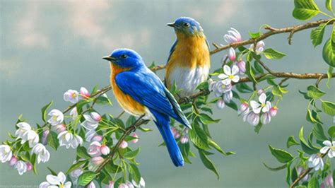 Birds And Trees Wallpapers Top Free Birds And Trees Backgrounds
