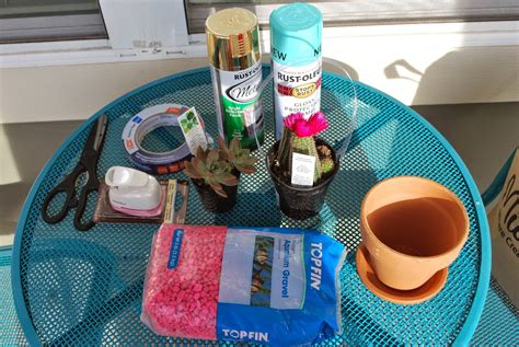 In this article, you will learn all the tricks you need to know, which will growing your cactus from pads propagation is one of the easiest and popular methods to quickly expand your collection. Amelia B. in the Big D.: Pretty Potted Plants