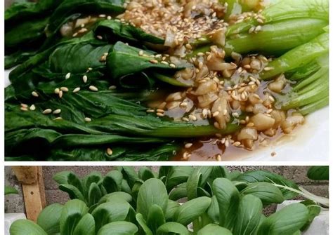 Tumis bawang putih hingga harum, masukkan. Pakcoy saos tiram | Resep | Resep, Resep masakan, Masakan