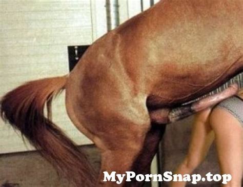 horse porno izleat pornosu from hayvanla sikişen kadın pornosu View Photo MyPornSnap fun