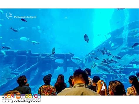 Use your singaporediscovers vouchers, valid from 1 december 2020 to 30 june 2021. Singapore tour package w Universal Studios n SEA Aquarium