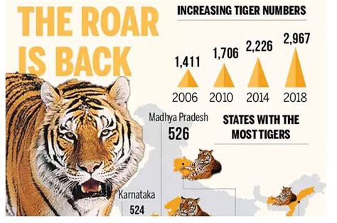 Tiger Conservation In India And The World All You Need To Know Upsc