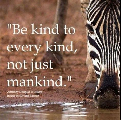 Be Kind To Animals Quotes Pinterest 99recreation