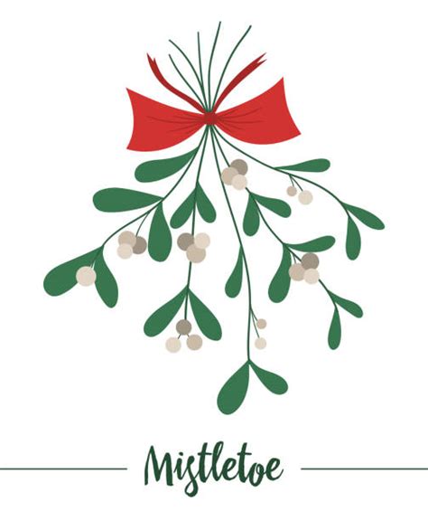 Mistletoe Hanging Illustrations Royalty Free Vector Graphics And Clip