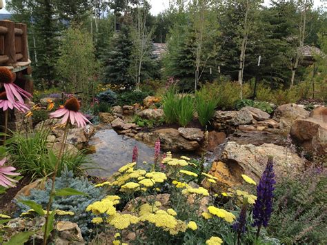 Famous Colorado Mountain Landscaping Ideas References