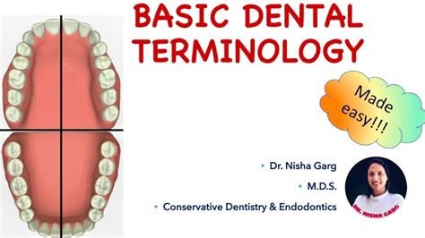Basic Dental Terminology Tooth Nomenclature Made Easy Youtube