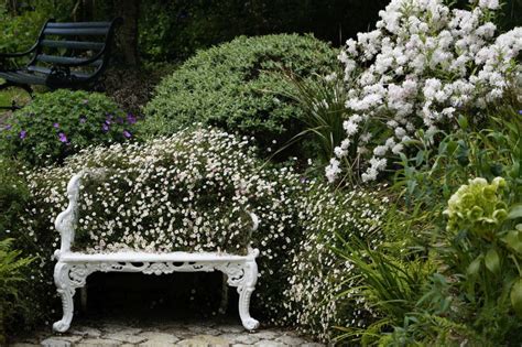 Marmorpflaster, weiße gartenmöbel, silberdisteln, weiße hortensien, weiß verputzte gartenmauern. Schönthaler Wassergärten - weißer Garten