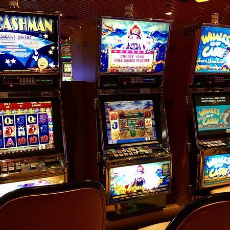 I migliori hotel e alberghi vicino a hollywood casino joliet, il: Hollywood Casino Joliet - 2019 Qué saber antes de ir - Lo ...