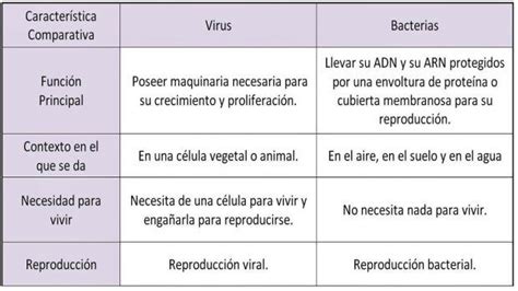 Pin En Virus Y Bacterias