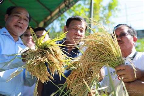 philippines now 95 self sufficient in rice supply under president duterte pinoynewz