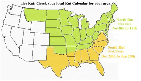 Why Is The Rut Easier To Predict In The North Than In The