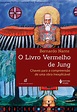 Livro O Livro Vermelho De Jung | Mercado Livre