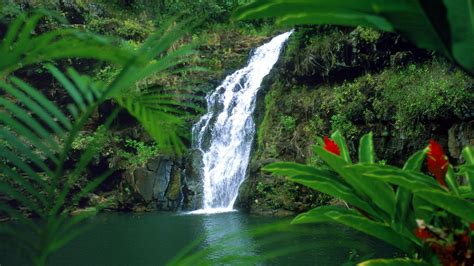 Hd Hawaii Falls Waterfalls Oahu Widescreen Wallpaper Download Free