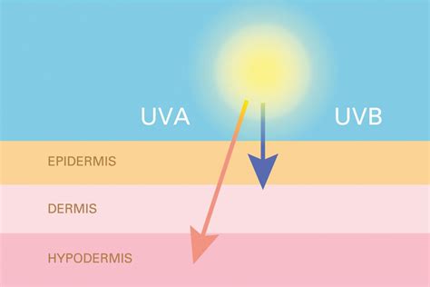 What Are The Effects Of Uv Radiation Germiled