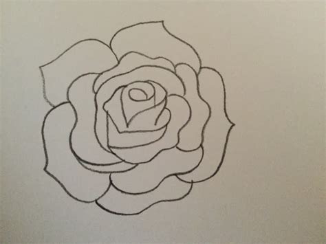 Merinal Brunda How To Draw A Rose