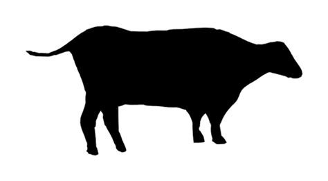 Sapi Vektor - ClipArt Best