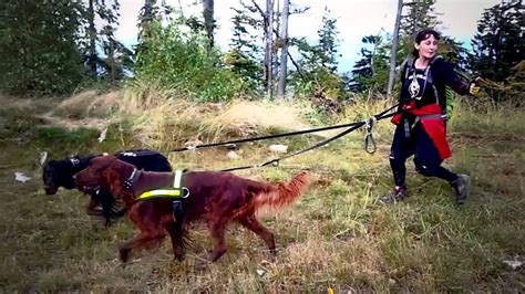 W 1/16 finału na własnym stadionie przegrali. Puchar Polski w Dogtrekkingu 2014 trailer - YouTube