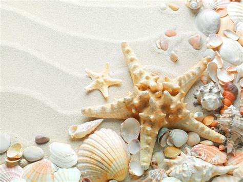 43 Beach And Starfish Wallpaper