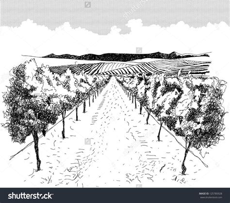 Landscape With Vineyard And Mountains Reminiscent Of Images On Wine