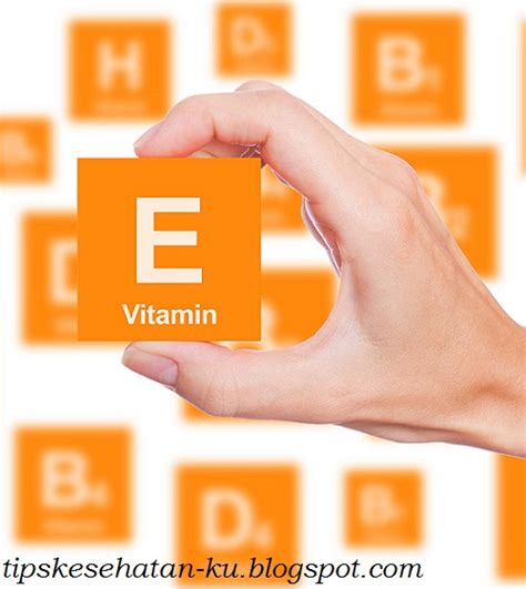 Manfaat Vitamin E Untuk Kesehatan Tips Kesehatan Alami