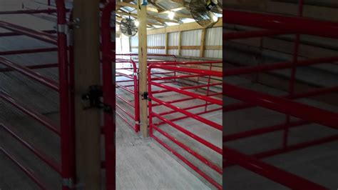 All trusses come with a 1' overhang. Seitz Cattle Show Barn - YouTube