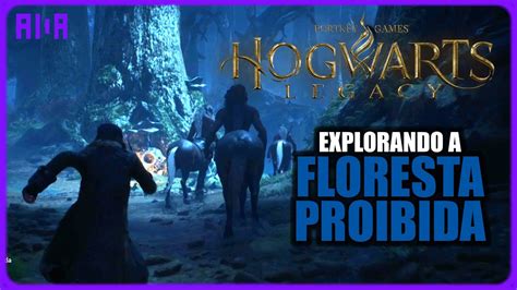 Hogwarts Legacy Explorando A Floresta Proibida A10a Youtube