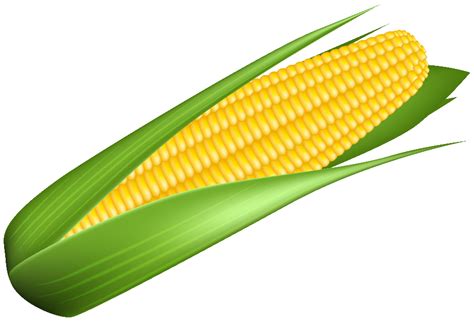 Download High Quality Corn Clipart High Resolution Transparent Png