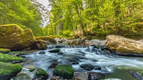 Forest Photography Mountain River And Mossy Stones Stock Image Image