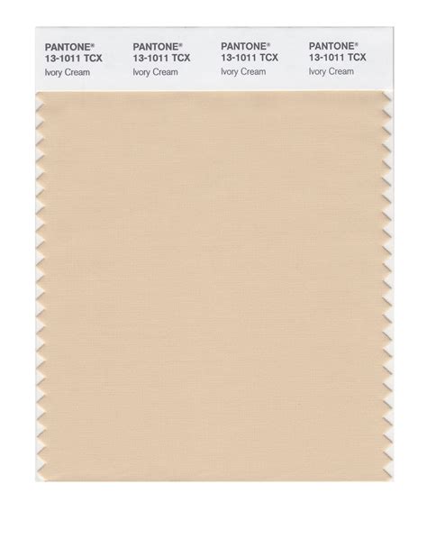 Pantone Smart Color Swatch Card 13 1011 Tcx Ivory Cream Columbia Omni