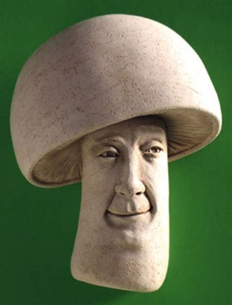 mushroom shroom face fun guy plaque cast cement fungi in 2023 stuffed mushrooms sculpture