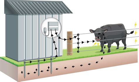 This will help you ensure the proper voltage is being. Electric Fence Wiring Diagram | Wiring Diagram