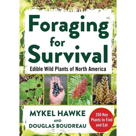 Foraging For Survival Edible Wild Plants Of North America Paperback