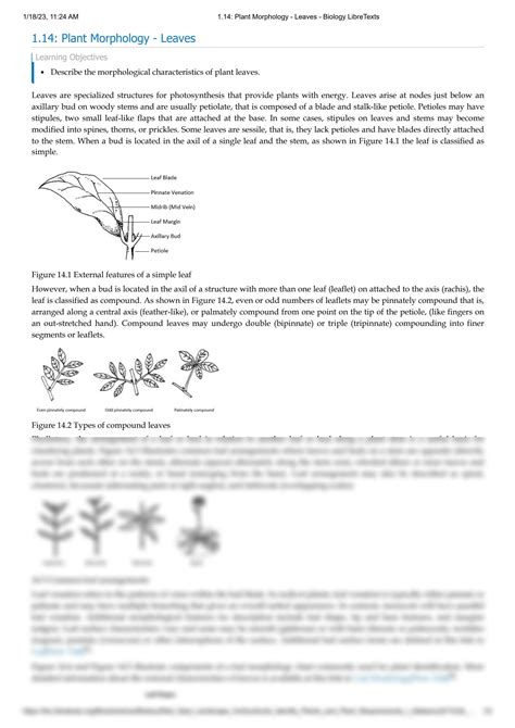 Solution 1 14 Plant Morphology Leaves Biology Libretexts Studypool