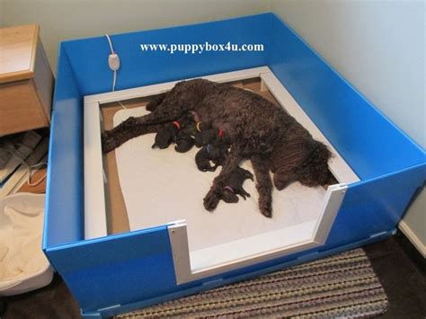 A closed litter box may look nicer and be better at keeping the smells in, but an outdoor cat may not like it. 50 best Puppies! images on Pinterest | Cubs, Whelping ...