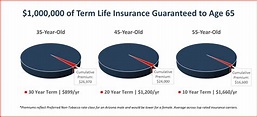 Insuring Your Economic Value with Term Life Insurance | Risk Resource