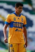 Tigres UANL: Hugo Ayala superó el Covid-19 y regresó a los ...