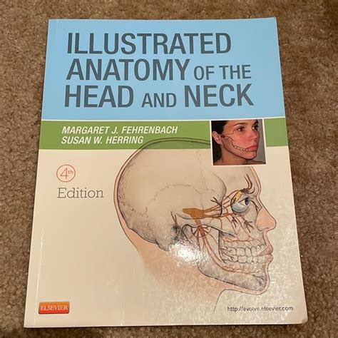 Illustrated Anatomy Of The Head And Neck Br